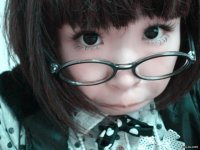 甘肃兰州新亚中学校花