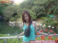 09南开中学2009年最新美女