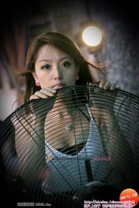 洪山高级中学2009年最新美